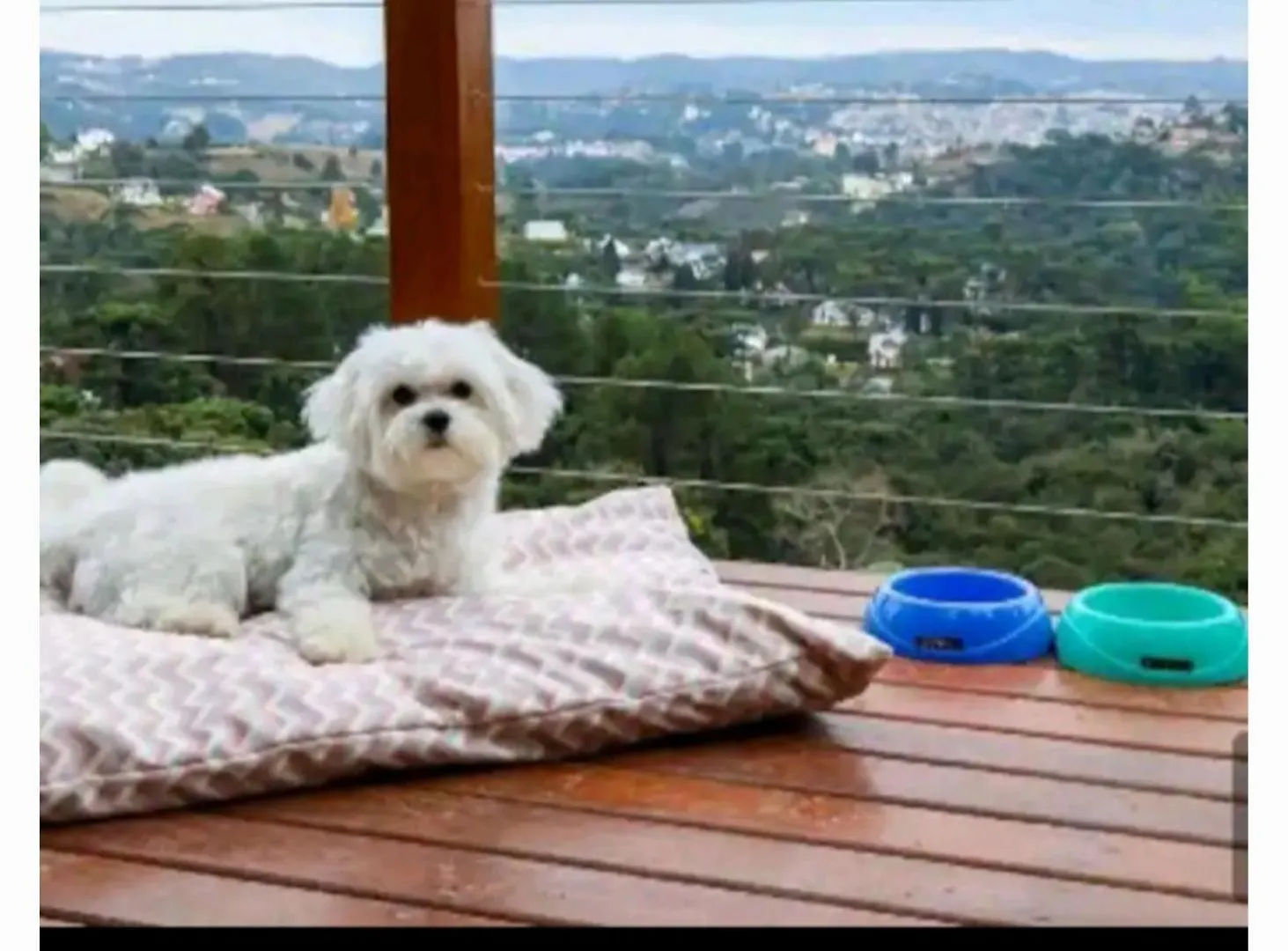 Campos do Jordão Carpe Diem Boutique - Lareira E Piscina Aquecida 0*, Campos do Jordão ברזיל