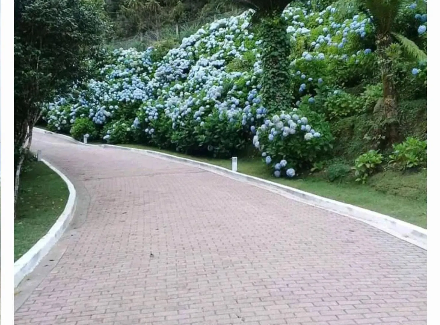 Campos do Jordão Carpe Diem Boutique - Lareira E Piscina Aquecida 0*, Campos do Jordão ברזיל